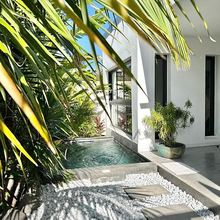 Le Yucca 974 By J&V Villa Saint Pierre Eksteriør bilde