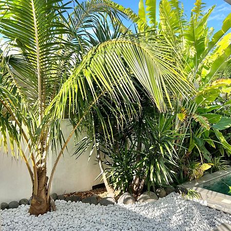 Le Yucca 974 By J&V Villa Saint Pierre Eksteriør bilde