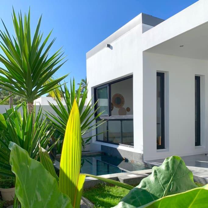 Le Yucca 974 By J&V Villa Saint Pierre Eksteriør bilde