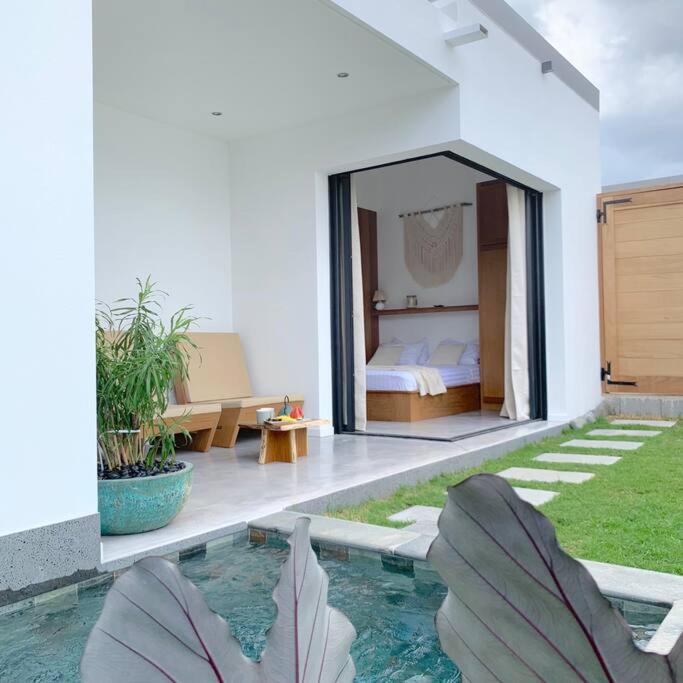 Le Yucca 974 By J&V Villa Saint Pierre Eksteriør bilde