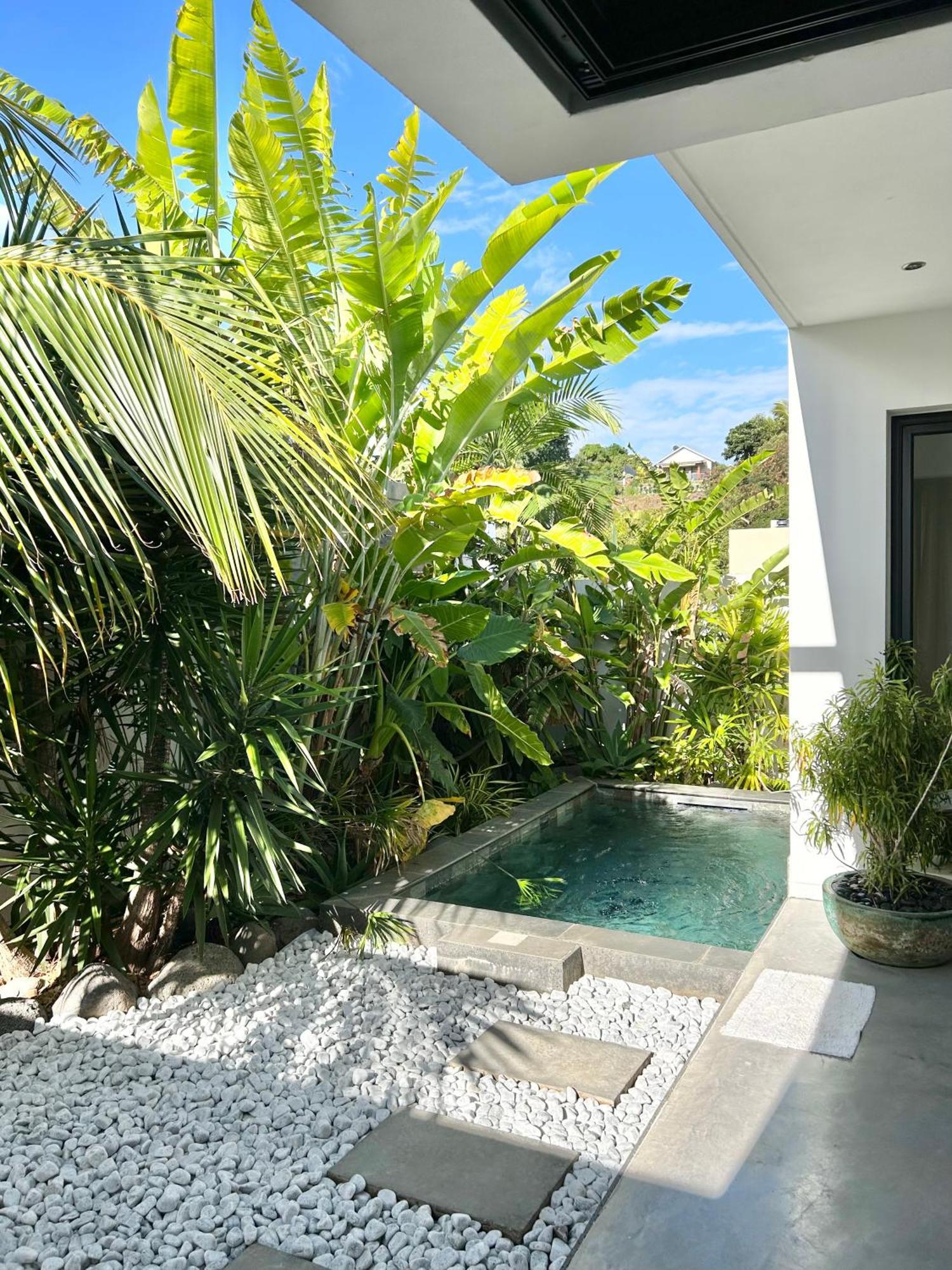 Le Yucca 974 By J&V Villa Saint Pierre Eksteriør bilde